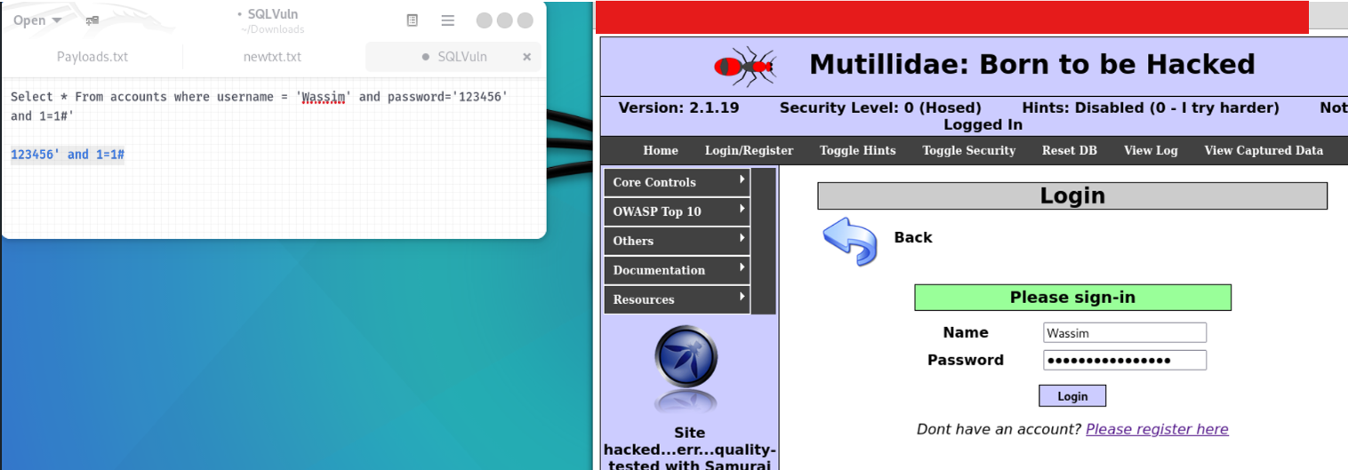 SQL Injection project screenshot